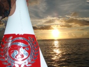 RicksReefClassic:March13th