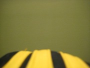 TheAdventureContinues:Baghdad