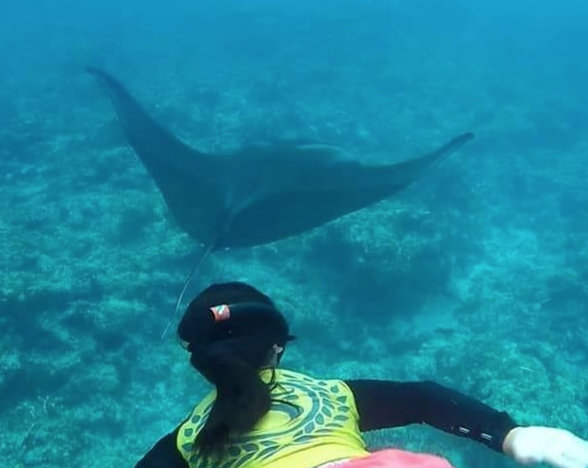 Photo of the Week! MIA LEE with Manta Rays in Tumon Guam